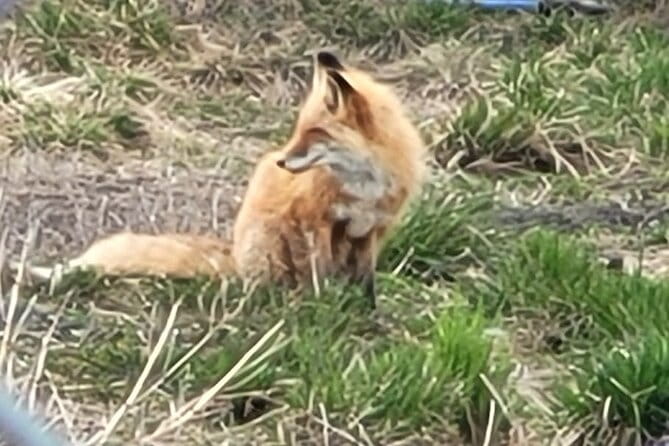VIP Tour from Anchorage to Alaska Wildlife Conservation Center - Exploring the Value