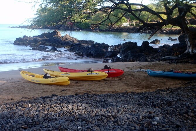 Waterfall Hike and Kayak Snorkel & Paddle from Makena - Final Thoughts: Who Will Love This Tour?