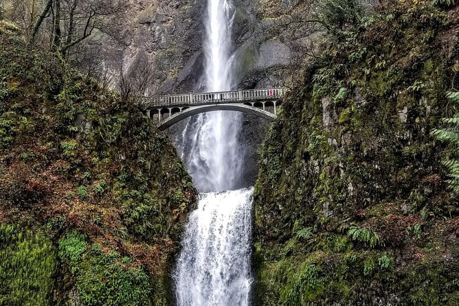 Waterfalls & Wine Tour-Multnomah Falls,Vineyards,Hood River Combo - Who Should Book This Tour?