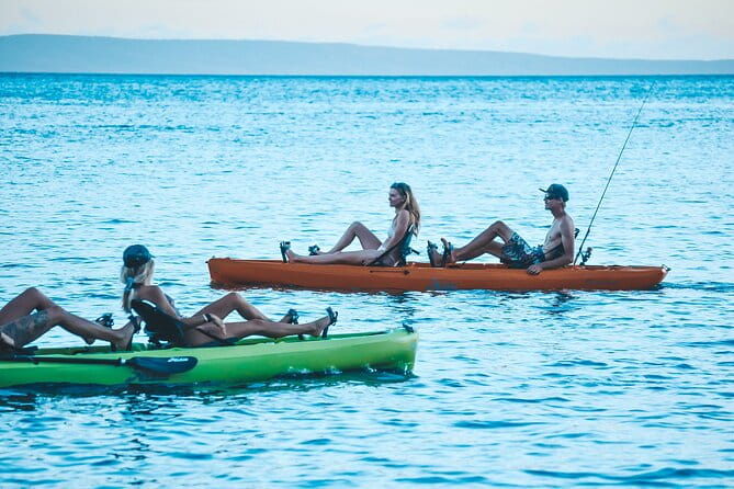 Whale Watch and Scenic Tour from Kayak - Who Should Consider This Experience?