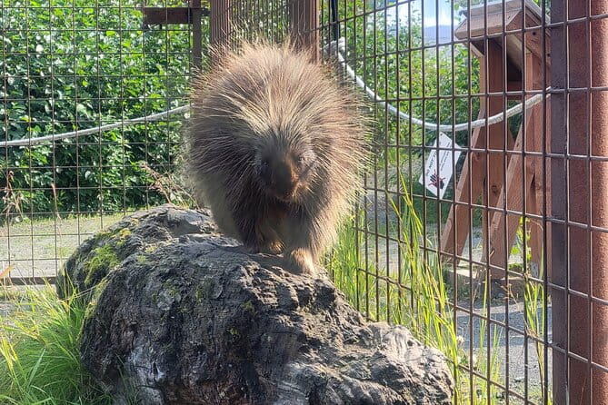 Wildlife Center with Lunch & Local Beer Sampling - Winter&Summer - Authentic Insights from Past Travelers