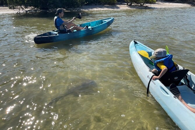 Wildlife Refuge Dolphin, Manatee & Mangrove Kayak or Paddleboarding Tour! - FAQs