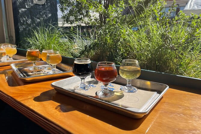 Wine Tasting Tours in a Vintage VW Bus - Who Will Love This Tour?