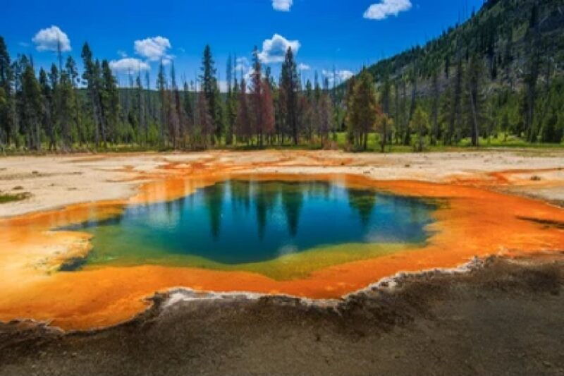 Yellowstone & Grand Tetons: 4-Day/3-Night Wildlife Adventure - Final Thoughts: Is It Worth It?