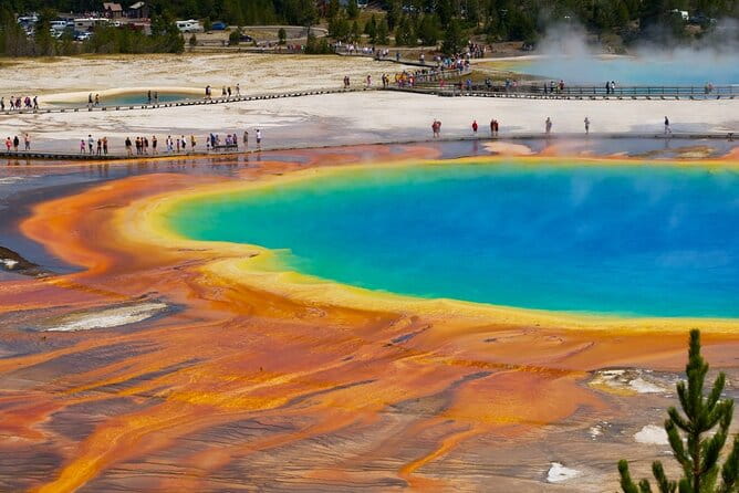 Yellowstone: Private Guided Tour - Final Thoughts