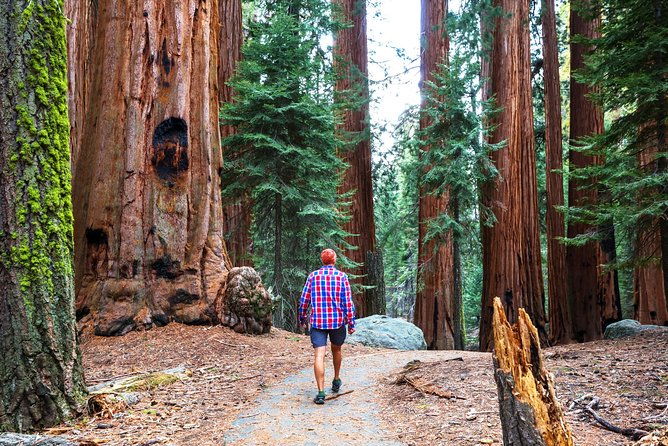 Yosemite and Tahoe from San Francisco: 4 Day Sierra Nevada Tour - Final Thoughts: Is It Worth It?