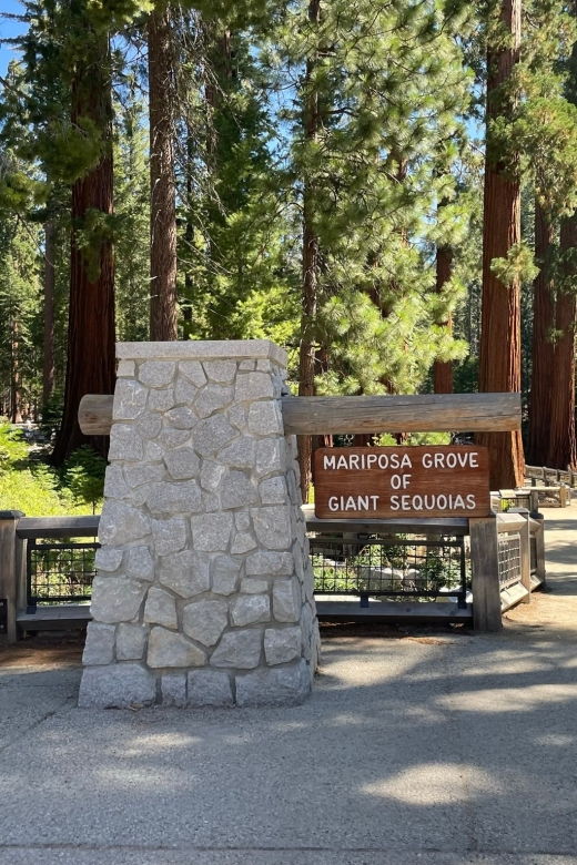 Yosemite, Giant Sequoias, Private Tour from San Francisco - Why Value and Guides Matter