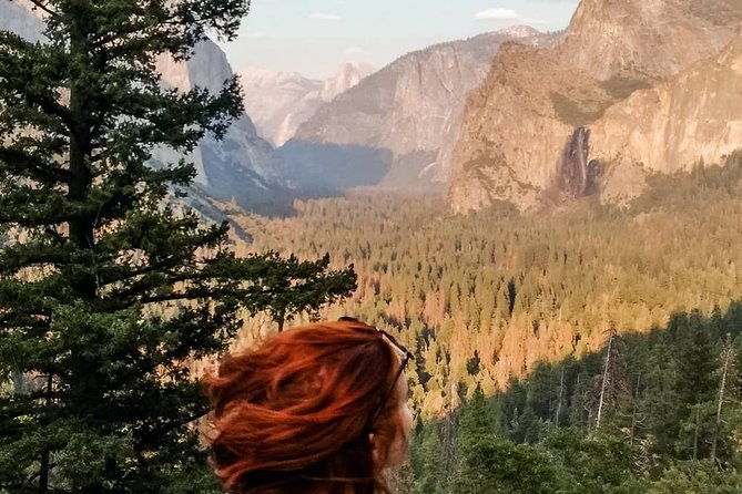 Yosemite National Park and Giant Sequoias Tour from San Jose - Waterfalls and Valley Views