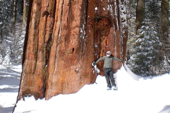 Yosemite Valley Discovery Walk - Group Size and Pace