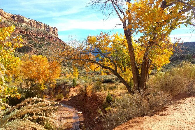 Zion UTV Morning Tour - Final Thoughts: Is It Worth It?