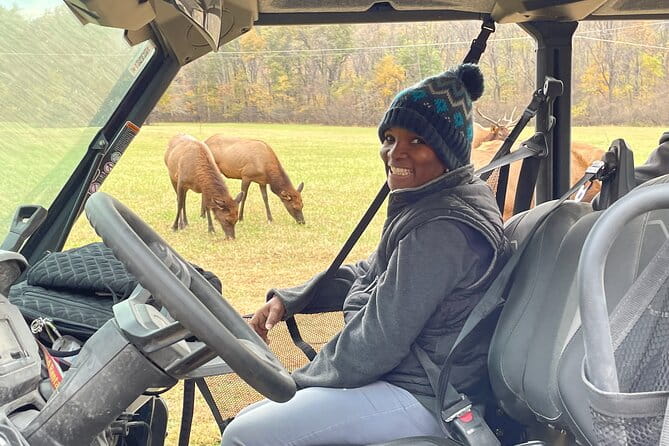 (4 HR) UTV ECO Elk Wilderness Adventure - Key Points
