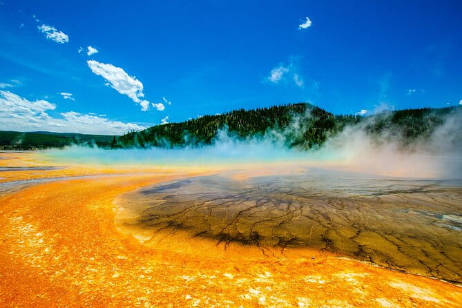 4 Person Full-Day PRIVATE Yellowstone Tour in a Raised Roof Van- Picnic Lunch - Why Choose a Private Yellowstone Tour?