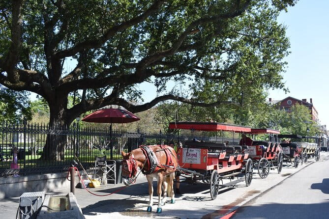45 Minute Highlights Tour of the French Quarter - Key Points