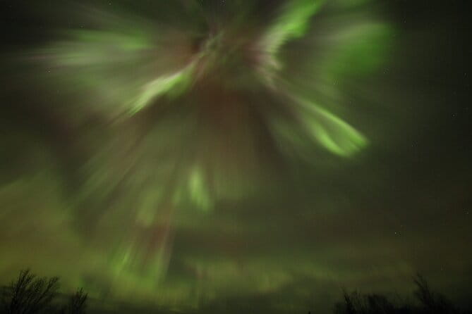 1 Day Shared Tour Arctic Circle and Aurora Viewing in Alaska - Who Will Love This Tour?
