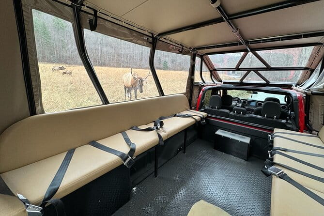 2.5-3 hour Smoky Mountain Cherokee Blue Ridge Parkway Safari tour - Who Should Book This Tour?