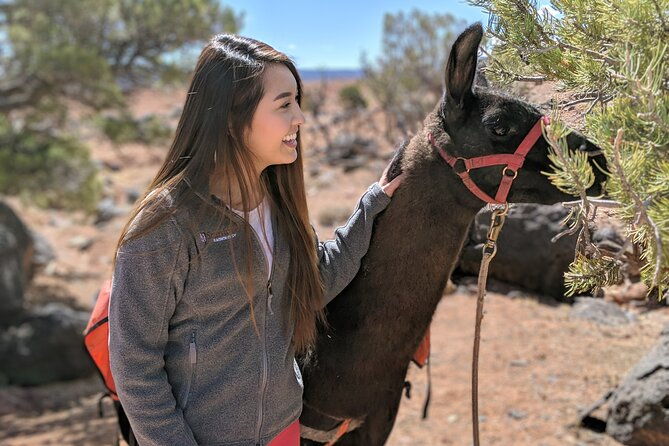 2-Hour Llama Hike - FAQs about the 2-Hour Llama Hike