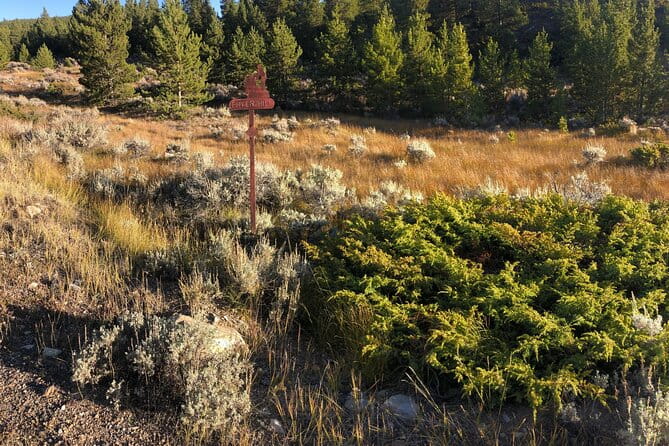 3-Hour E-Bike Tour of Trail of the Silver Kings (Old Mine Tour) - FAQ