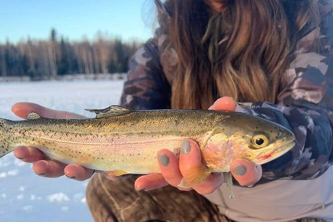 3 Hour Ice Fishing Experience - The Realities of Weather and Season