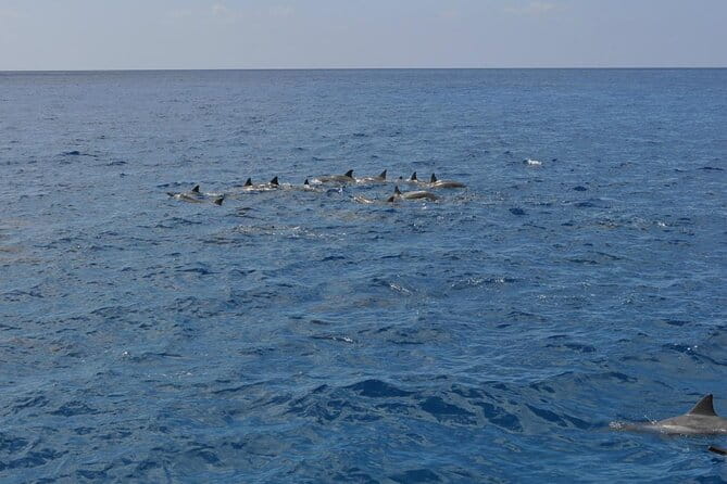 3-Hour Small-Group Maalaea Luxury Snorkel Cruise Tour - Wrapping Up