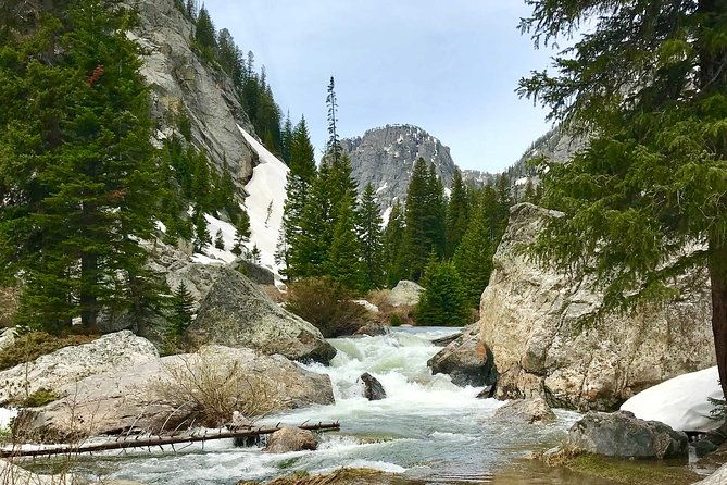 4-Day Small Group Tour: Yellowstone and Tetons Camping from Salt Lake City - FAQ