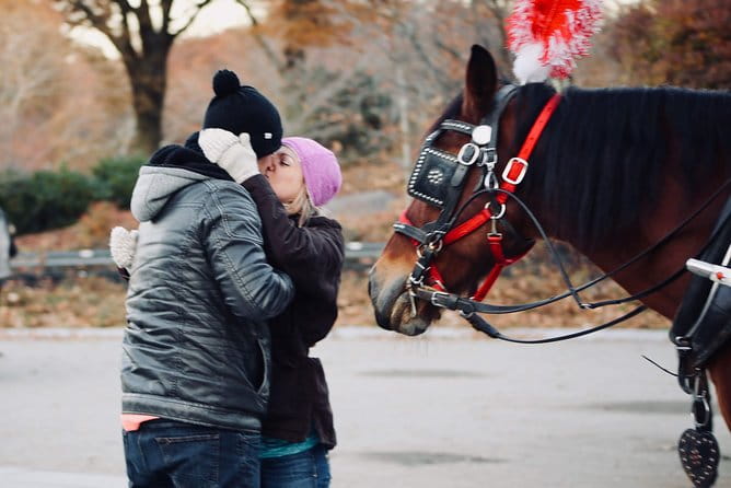 60 min surprise proposal carriage ride - The Sum Up