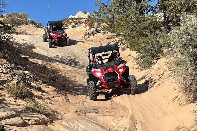 8 Hour White Pocket UTV or 4WD Tour! Starting at 5 per person! - Practical Considerations