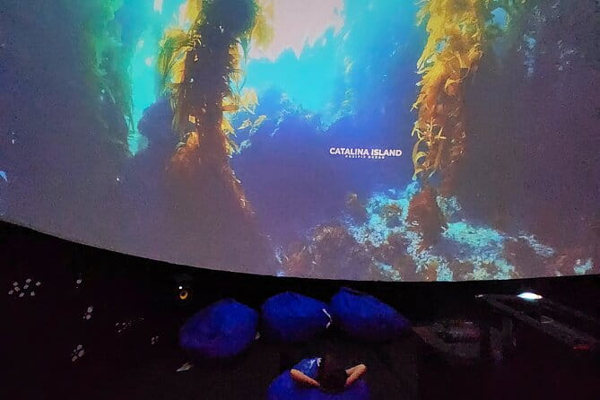 A 360° Immersive Ocean Movie Experience (Catalina Island) - Who Will Love This Experience?