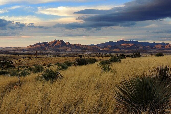 A Wine Tasting Experience in the Vineyards of the Desert - The Bottom Line