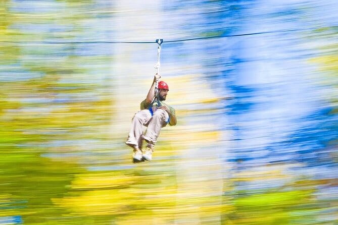 Adventureworks Ziplines at Nashville West - Authentic Feedback from Visitors