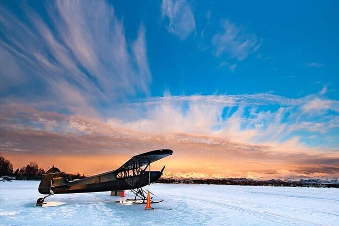 Anchorage's Winter City Tour = Samples + Stops + WildLife - The Sum Up