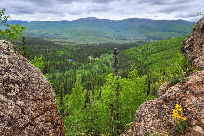 Angel Rocks Hike and Chena Hot-Springs Soak Guided Tour - Who Should Book This Tour?