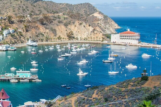 Avalon City: A Self-Guided Audio Tour - Who Should Consider This Tour?