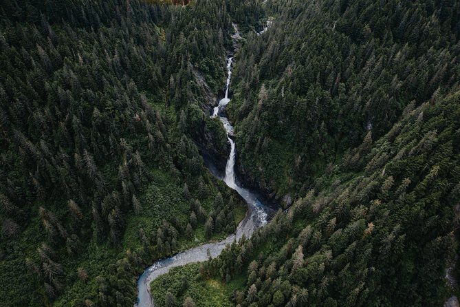 Bear Glacier Scenic Signature Flight - Who Should Consider This Tour?