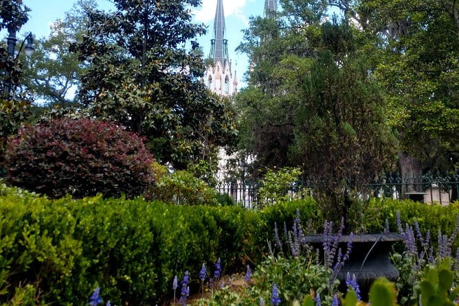Botanical Tour (by Walk With Me Savannah Tours) - The Sum Up