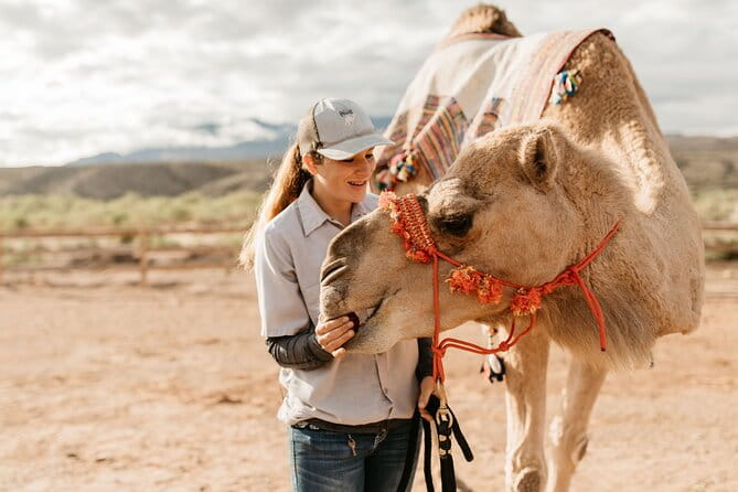 Camel Safari - Camel Ride and Zoo Tour - The Sum Up: Is This Tour Worth It?