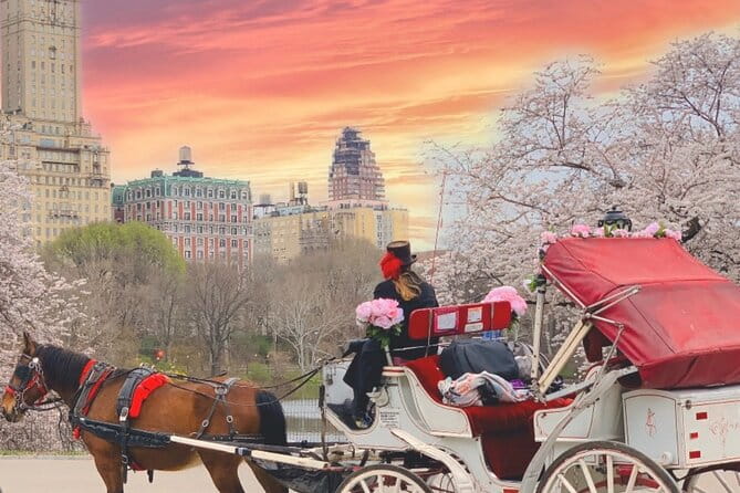 Central Park Horse and Carriage Rides - Final Thoughts: Who Will Love This Tour?