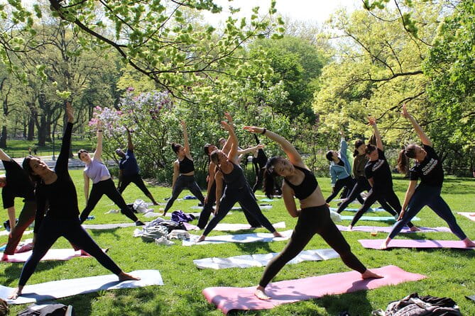 Central Park Yoga Class with a View in the Heart of New York City - Practical Tips for Travelers