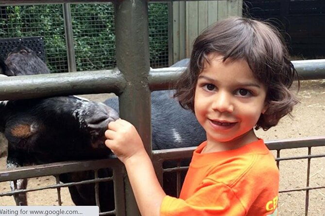 Central Park Zoo Admission Ticket with 4D Theater Access - FAQ