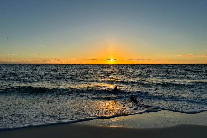 CLEAR Kayak Sunset & Light Tour - Bonita Springs / Ft Myers Beach - Frequently Asked Questions