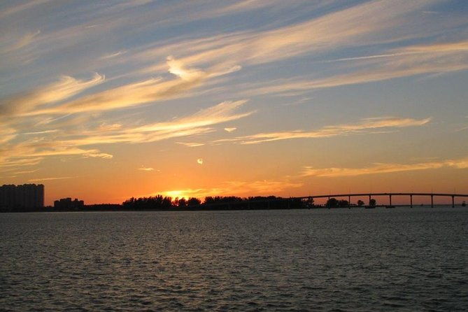 Clearwater Beach Bus Express - The Authentic Experience: What Past Travelers Say