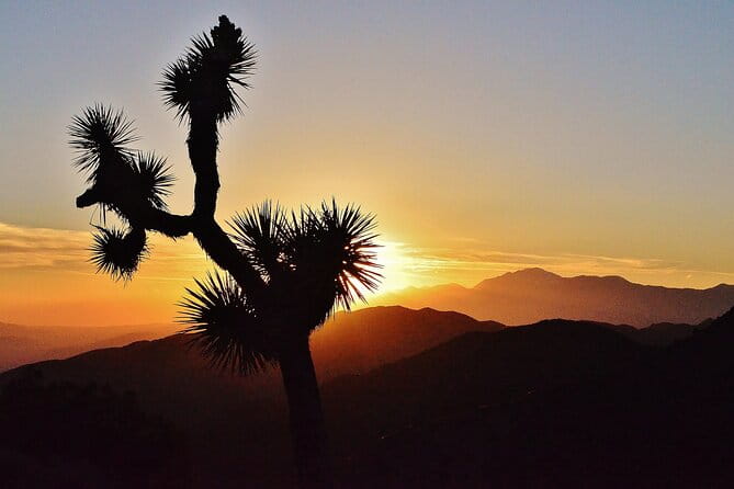 CreativeSoul ScavengerHunt(Hidden Valley,Joshua Tree)Remote Host - The Real Value