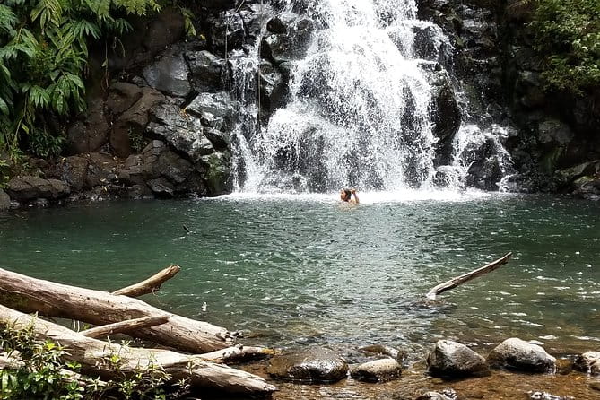 Custom Island Adventures Tour - An Honest Look at the Custom Island Adventures Tour in Honolulu