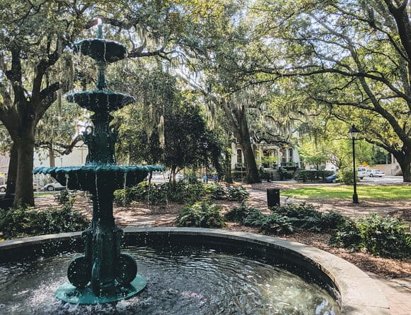 Custom Savannah Private Tour - How the Tour Compares to Others