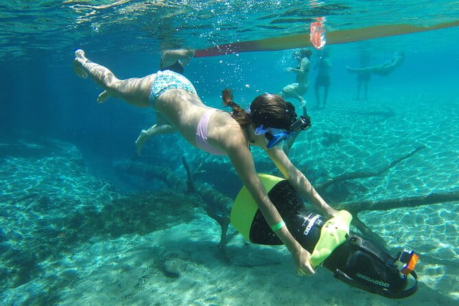 Cypress Springs Eco Adventure - Who Is This Tour Best For?