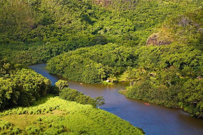 Day Trip from Oahu to Kauai: Waimea Canyon & Wailua River - Authentic Experiences and Cultural Insights