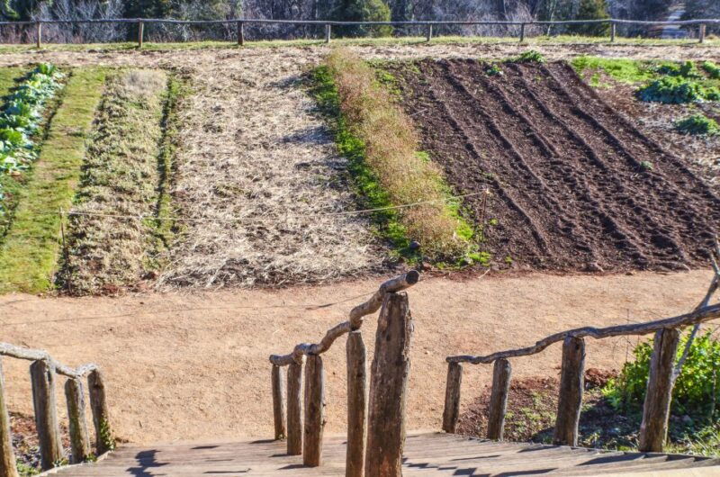 DC: Private Day Trip to Thomas Jeffersons Monticello Estate - Practical Tips