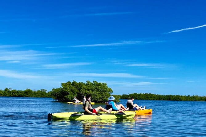 Deluxe Pedal Kayak Tour Marco Island and Naples, Florida - Practicalities: Timing, Pricing, and Group Size