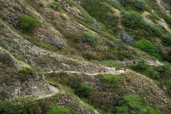Diamond Head and Manoa Falls Hike and Adventure Tour - FAQ