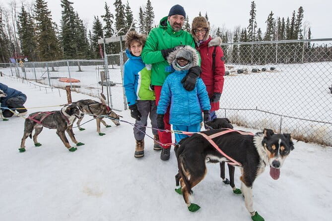 Dog Sledding - Subarctic Wilderness Tour - Frequently Asked Questions