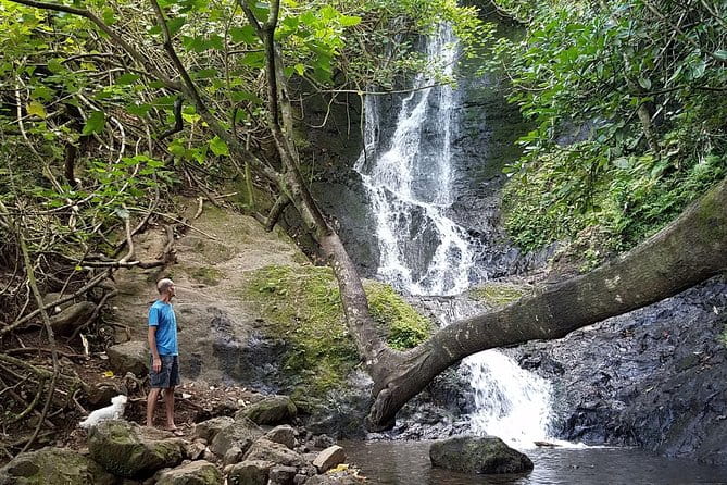 Downhill Bike and Ko'olau Waterfall Hike Tour - The Authentic Experience: What Sets This Apart